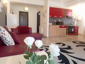 布加勒斯特Apartament Fundeni的一间带红色沙发的客厅和一间厨房