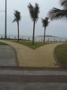 维拉维尔哈Apartamento Itagarça - Praia de Itaparica的海滩上种有棕榈树的走道