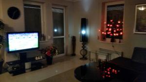 米兹多洛杰Apartament Maria的一间带电视和圣诞灯的客厅
