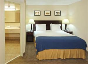 小石城小岩城机场智选假日酒店的一间酒店客房 - 带一张床和一间浴室