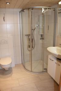 利德阿尔卑斯Chalet Enzian的带淋浴、卫生间和盥洗盆的浴室