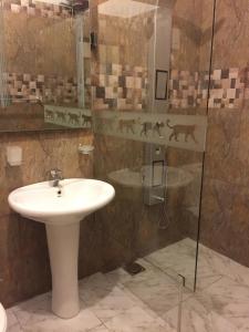 康提乐帕德爱特酒店的一间带水槽和淋浴的浴室