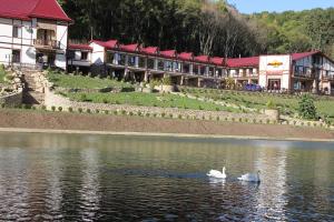 DobrovlyanyMishyN-City Hotel的两个天鹅在一座建筑前的湖里游泳