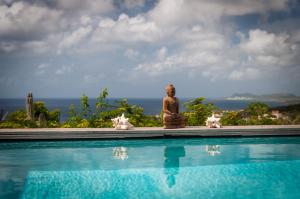 Bonaire Bay View Villa内部或周边的泳池