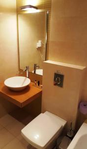 拉夫蒂港Sea Sight Boutique Hotel的一间带水槽、卫生间和镜子的浴室