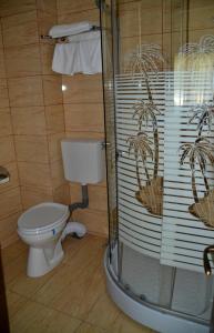 百乐·奥拉内斯蒂斯特古酒店的一间带卫生间和玻璃淋浴间的浴室