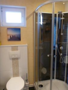 文尼斯塔特Ferienhaus Holst Sylt的带淋浴和卫生间的浴室以及窗户。