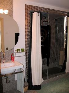 蒙特格罗托泰梅Da Nicola的浴室配有淋浴帘和盥洗盆。