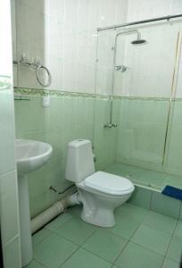 塔什干克拉特酒店的浴室配有卫生间、淋浴和盥洗盆。