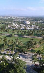 阿卡普尔科Mayan Vidanta Villas GOLF a 800 mt de la playa的享有棕榈树停车场的空中景致