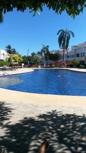 阿卡普尔科Mayan Vidanta Villas GOLF a 800 mt de la playa的一座棕榈树和建筑的大型游泳池