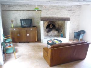 谢尔河畔阿瑟Gite de la Vigneraie的带沙发和壁炉的客厅