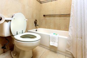 佛罗里达市佛罗里达市经济型住宿酒店的浴室设有卫生间、浴缸和淋浴帘。