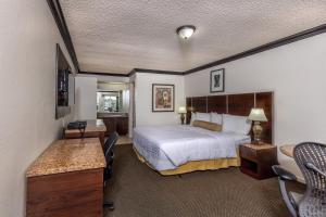 佛罗里达市佛罗里达市经济型住宿酒店的配有一张床和一张书桌的酒店客房