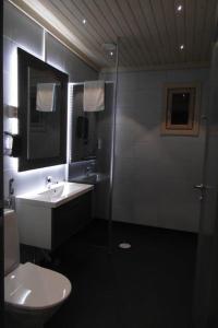 佩洛Valkea Arctic Lodge的一间带水槽、卫生间和镜子的浴室