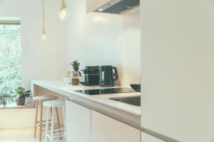阿尔斯特AP8 city & park apartement的厨房配有水槽和台面上的咖啡壶