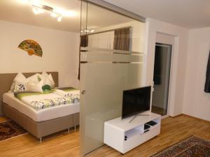 格拉茨Chads City Apartment mit Tiefgarage free parking的一间带床和电视的小卧室