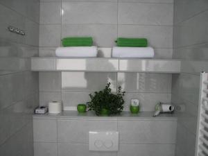 普利特维采湖伊娃奢华客房及套房旅馆的浴室提供白色毛巾和架子上的植物