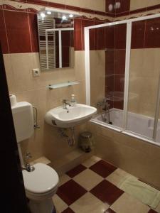 佩奇戴安娜酒店的浴室配有卫生间、盥洗盆和淋浴。