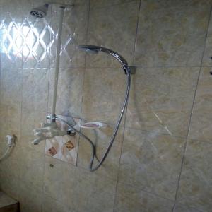 达累斯萨拉姆Mauya Executive Lodge的浴室内带软管的淋浴