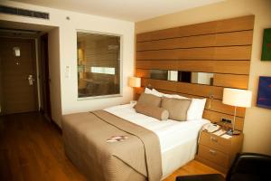 安卡拉CPAnkara Hotel的一间卧室配有一张大床和木制床头板