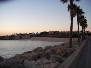 圣玛丽亚港Apartamento Caballo Sherry的一片棕榈树和海滩的水域