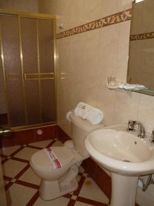 塔克纳Hotel San Martín的一间带卫生间和水槽的浴室