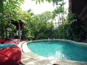 坎古巴厘岛马特拉冲浪营旅馆的庭院内一个带椅子和树木的游泳池