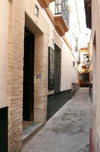 塞维利亚圣克鲁斯之家精品酒店的一座有楼房的城市里空洞的小巷