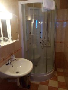 亚罗梅日Penzion U Slunce的带淋浴和盥洗盆的浴室