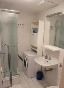 维也纳1,5 Zimmer-Apartment oder elegantes Home-office的一间带洗衣机和水槽的浴室