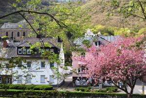 巴特贝特里希维多利亚旅舍的一群房子和一棵树,花粉红
