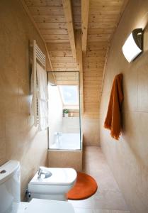 陶尔Apartaments Petit Saüc的一间带白色卫生间的浴室和窗户。
