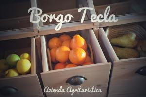 RosàAgriturismo Borgo Tecla的架子上一盒橙子和其他水果