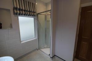 贝尔法斯特Townlets Townhouse的浴室设有玻璃淋浴间和窗户