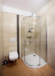 科沃布热格Apartament Polanki的带淋浴和卫生间的浴室