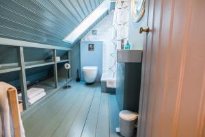 雷克雅未克雷克雅未克宝藏住宿加早餐酒店的蓝色的浴室设有卫生间和水槽