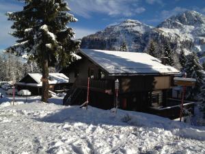 索内纳尔佩·纳斯费尔德Haus Petra的一座有雪盖的小屋,里面种着树和山脉