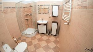 什切青Apartamenty Sedinum - Modern的一间带水槽、淋浴和卫生间的浴室