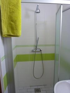 兹诺伊莫Ubytování Vinohrady 73的浴室设有绿色和白色条纹淋浴。