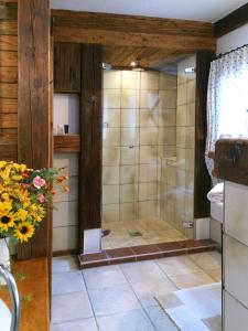 TurnauRomantikzimmer Jakobbauer的浴室里设有玻璃门淋浴