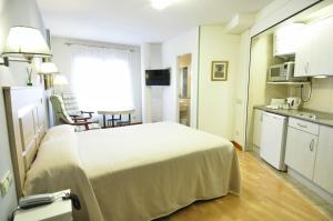 塞哥维亚阿罗索公寓的酒店客房带一张床和一个厨房