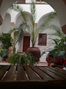 蒙托罗卡萨迈卡酒店的一间设有木桌的房间,里面种有植物