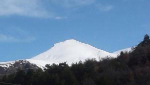 Bisaurri卡萨穆里亚冬青树酒店的前面有树木的雪覆盖的山
