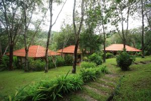 班柯木柯木橡胶树简易别墅度假村的森林中2间拥有橙色屋顶的小屋