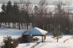 SnochowiceZajazd Antresola的凉亭,在田野上设有雪盖屋顶
