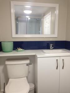 KinbuckWoodside Cottage Self Catering的一间带卫生间、水槽和镜子的浴室
