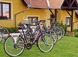 费尔特拉科什Huber Panzió的停在房子前面的一群自行车