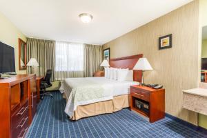 温莎洛克斯布拉德利机场戴斯酒店的配有一张床和一台平面电视的酒店客房