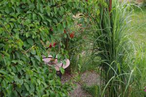 米歇尔施塔特Ferienwohnung Bischoff的植物中间带长凳的花园